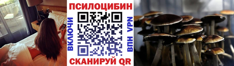 Галлюциногенные грибы Psilocybe  МЕГА ссылки  Курган 